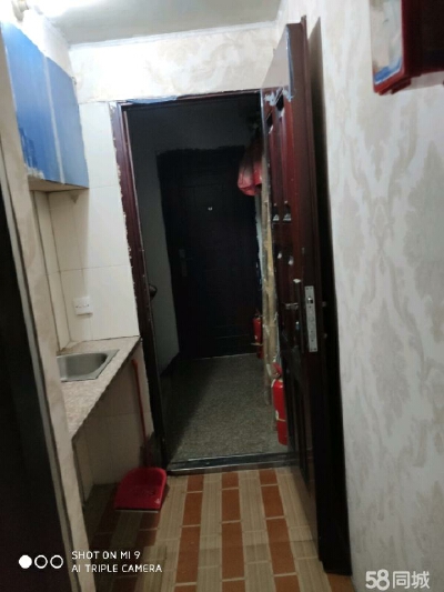 塘中新路，1室1卫，20.00㎡，普装，租金500.00元/月